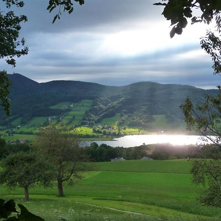 Familienferienhof Stabauer Zell am Moos Buitenkant foto