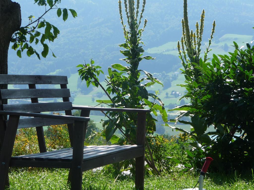 Familienferienhof Stabauer Zell am Moos Buitenkant foto