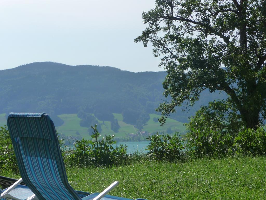 Familienferienhof Stabauer Zell am Moos Buitenkant foto