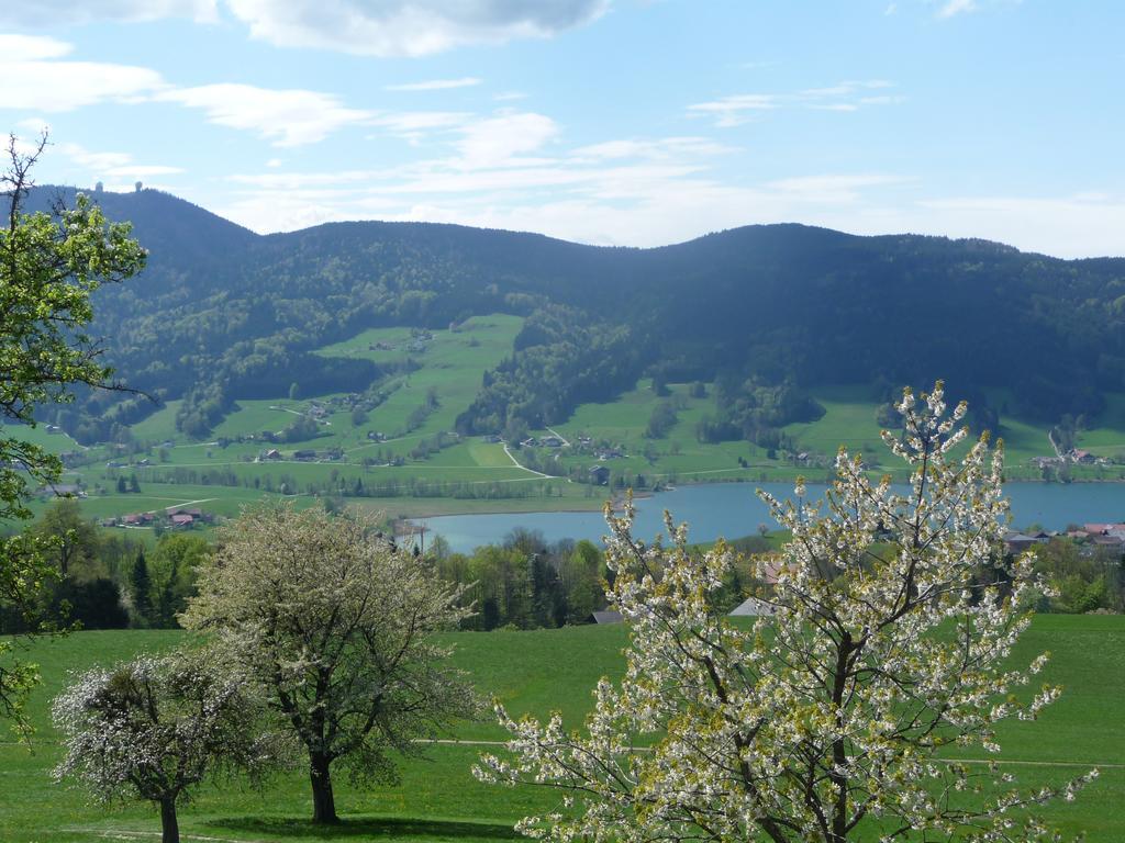 Familienferienhof Stabauer Zell am Moos Buitenkant foto